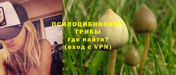 спиды Алексеевка