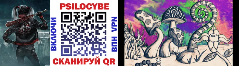 Псилоцибиновые грибы Psilocybine cubensis  Николаевск 